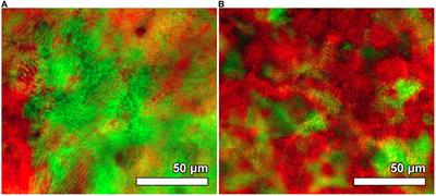 Cellulose Based Photonic Materials Displaying Direction Modulated Photoluminescence